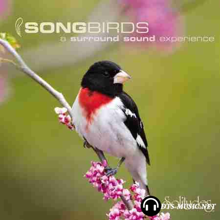 Dan Gibson's Solitudes - SongBirds: A Surround Sound Experience (2007) DTS 5.0 ( .wav+.cue )