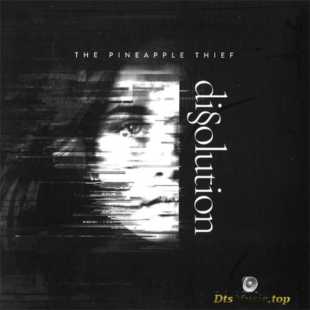 The Pineapple Thief - Dissolution (2018) DVDA