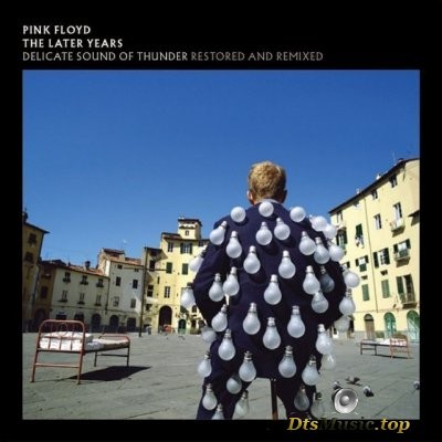  Pink Floyd - Delicate Sound of Thunder (2019) DTS 5.1