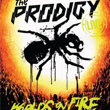The Prodigy - Live World's On Fire (2011) [Blu-ray 1080i]