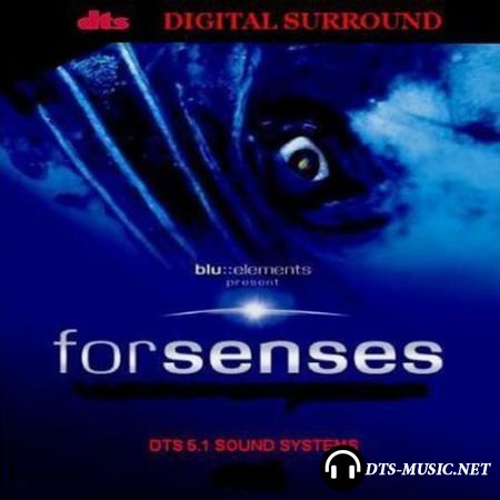Blu elements project - Forsenses (2009) DTS 5.1