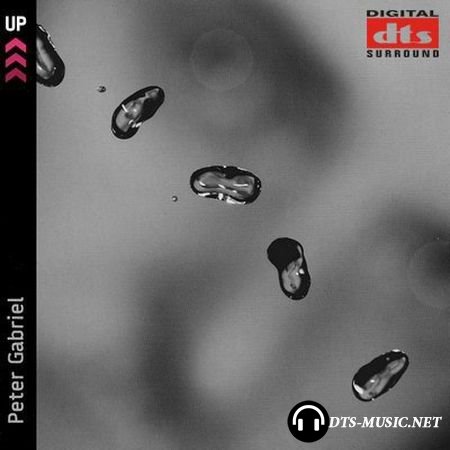 Peter Gabriel - UP! (2002) DTS 5.1