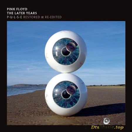 Pink Floyd - Pulse (2019) DVD-Audio