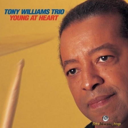 Tony Williams Trio - Young At Heart (1999) SACD