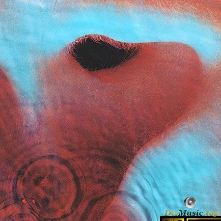 Pink Floyd - Meddle (1971/2016) [FLAC 5.1 (tracks)]