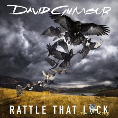  David Gilmour - Rattle That Lock (2015) DVD-Audio