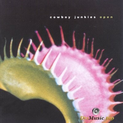  Cowboy Junkies - Open (2002) SACD-R