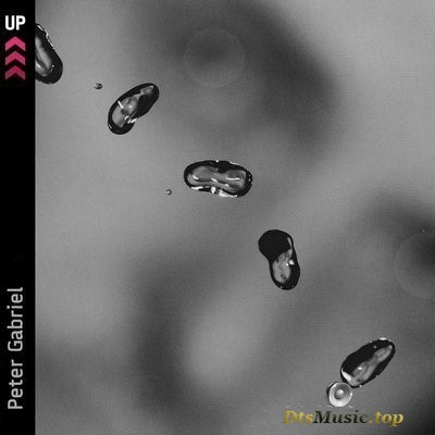 Peter Gabriel - Up (2002) DVD-Audio