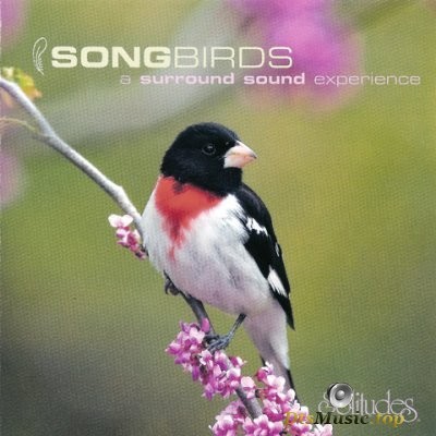  Dan Gibson - Songbirds. A Surround Sound Experience (2007) SACD-R