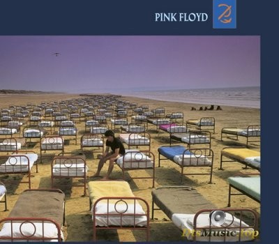  Pink Floyd - A Momentary Lapse Of Reason (2019) DVD-Audio